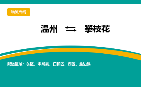 温州到攀枝花东区物流专线